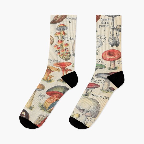 Item preview, Vintage Mushrooms French Champignons designed and sold by Periscope9.