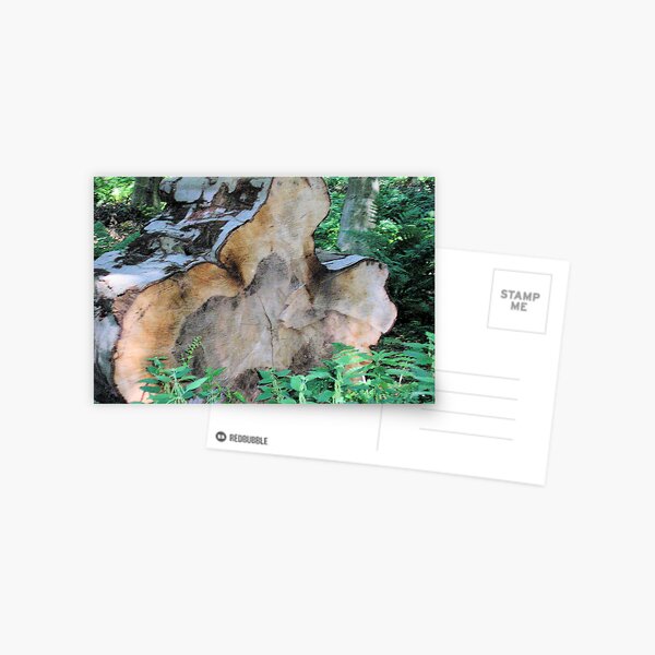 Big Log Postcard