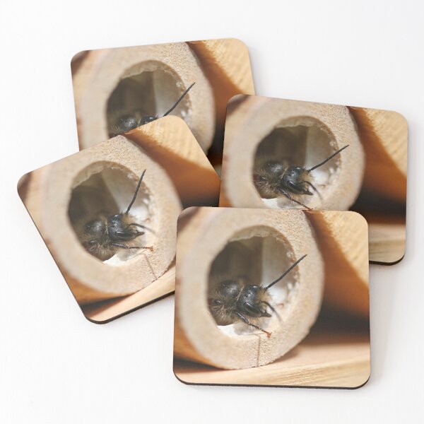 Item preview, Emerging mason bee designed and sold by GreyFeatherPhot.