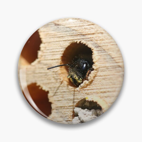 Item preview, Red mason bee guarding her nest  designed and sold by GreyFeatherPhot.