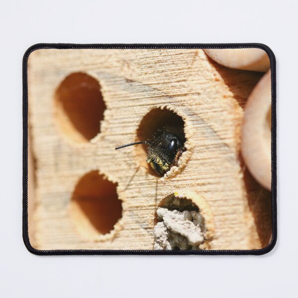Item preview, Red mason bee guarding her nest  designed and sold by GreyFeatherPhot.