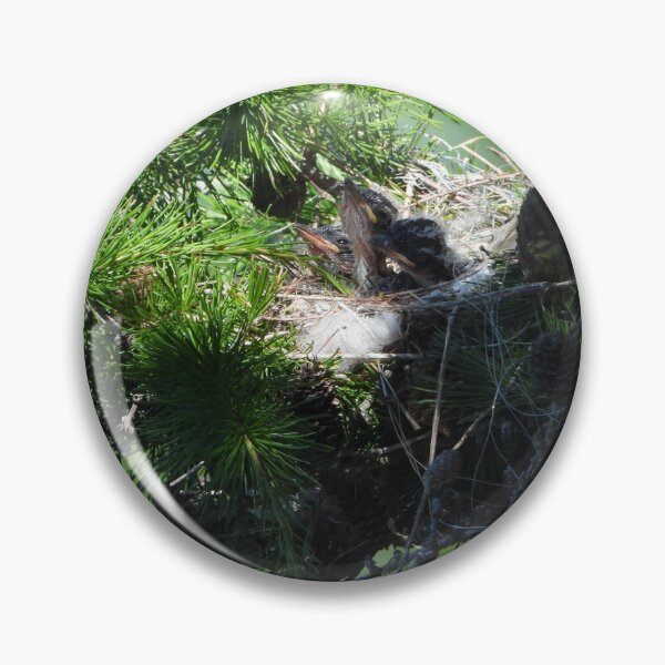 Item preview, Eastern Kingbird Nest designed and sold by PhotosBySusanne.