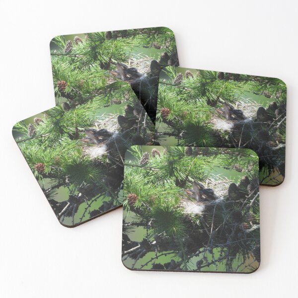 Item preview, Eastern Kingbird Nest designed and sold by PhotosBySusanne.