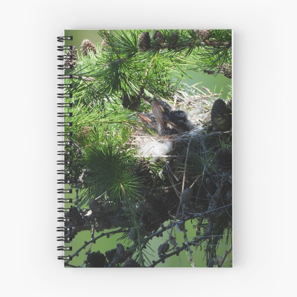 Item preview, Eastern Kingbird Nest designed and sold by PhotosBySusanne.