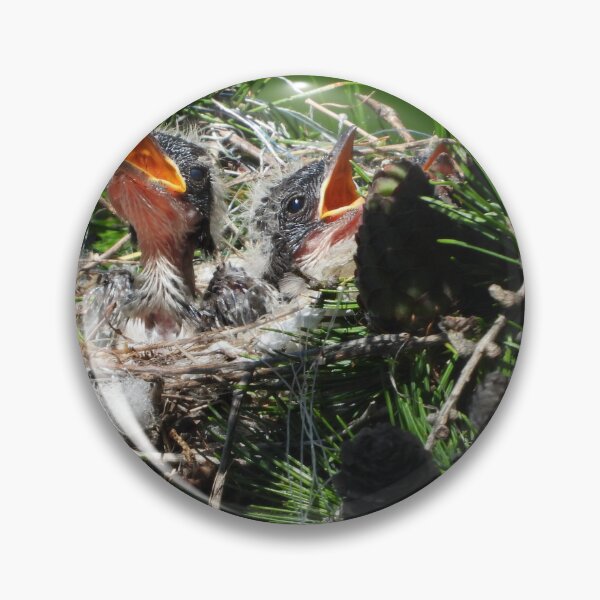 Item preview, In the Eastern Kingbird Nest designed and sold by PhotosBySusanne.