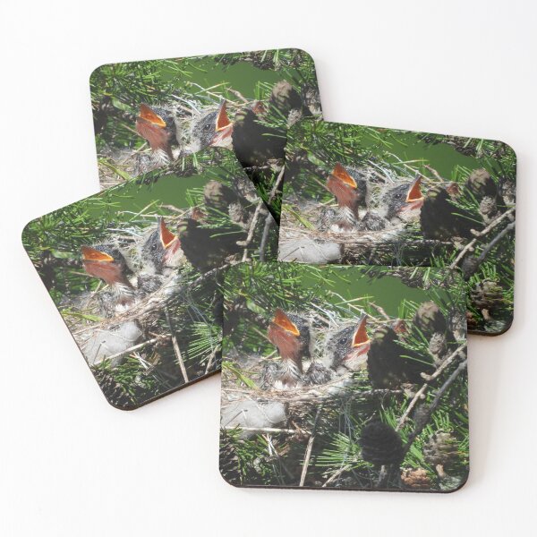 Item preview, In the Eastern Kingbird Nest designed and sold by PhotosBySusanne.