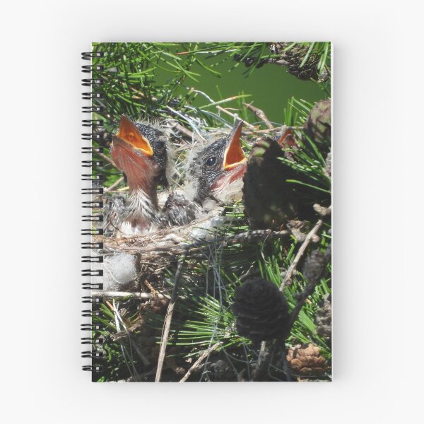 Item preview, In the Eastern Kingbird Nest designed and sold by PhotosBySusanne.