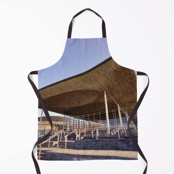 Item preview, The Senedd Building Cardiff Bay Wales designed and sold by VnGphoto.