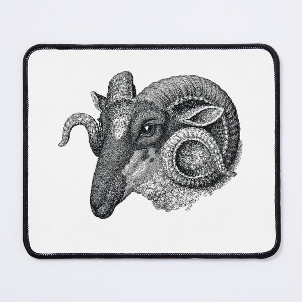 Item preview, Ram's Head Sheep Stickers for Handspinners & Sheep Lovers designed and sold by DSeller.