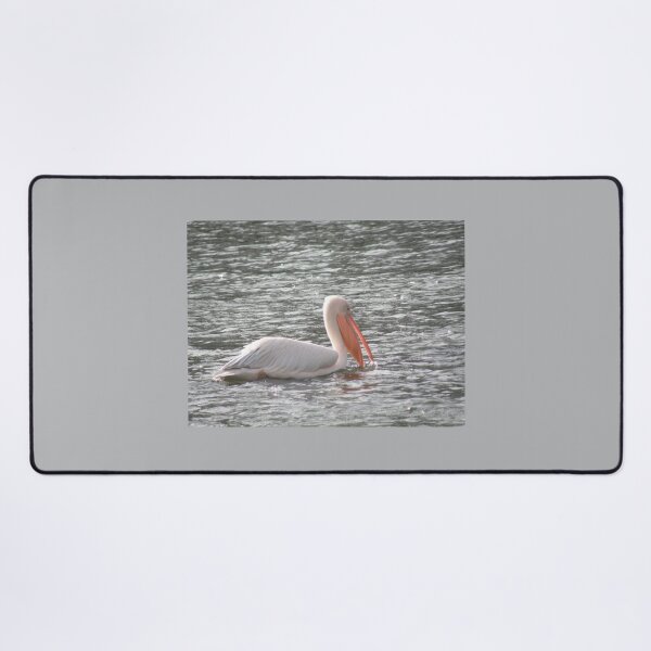 Item preview, Pretty Pelican in the Sunshine Photograph designed and sold by naturegallery.