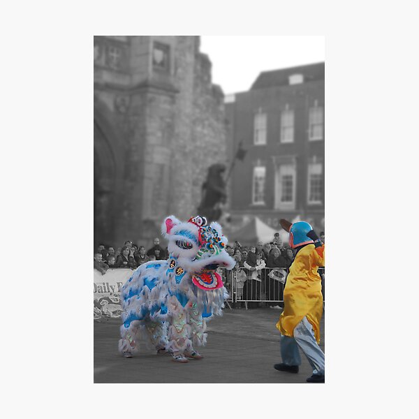 Master Taming Lion Photographic Print