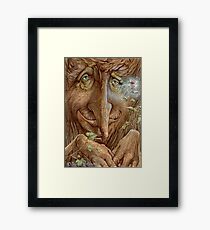Old Wisebark Framed Print