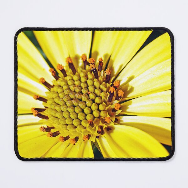 Item preview, Flower Sunflower Daisy Yellow Plant  designed and sold by MonArtisteSam.