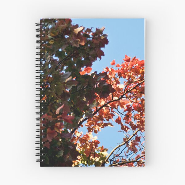 Item preview, Fall Rhapsody Tamarillo designed and sold by Jef Harris.