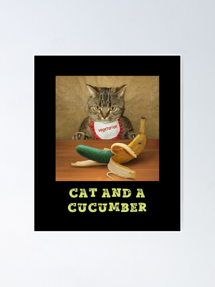 "Cat And Cucumber" Poster for Sale by CorneliusDesign Redbubble
