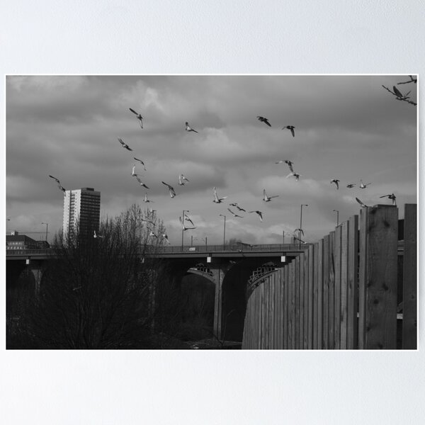 Item preview, Homing designed and sold by Micky McGuinness.
