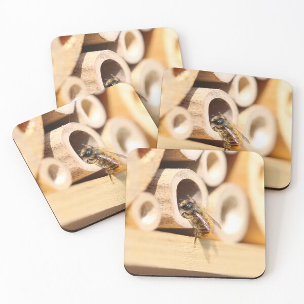 Item preview, Red mason bee (Osmia bicornis) designed and sold by GreyFeatherPhot.