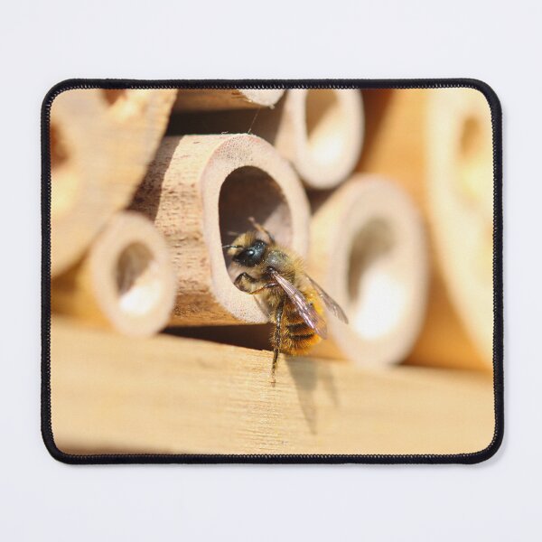 Item preview, Red mason bee (Osmia bicornis) designed and sold by GreyFeatherPhot.