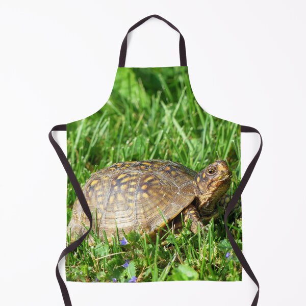 Item preview, Box Turtle designed and sold by Frankie Cat Photography.