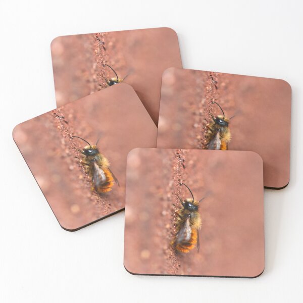 Item preview, Red mason bee on brickwork designed and sold by GreyFeatherPhot.