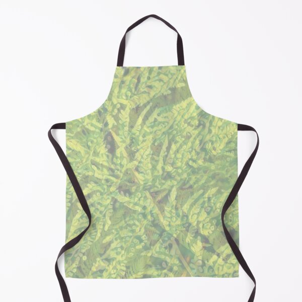 Item preview, Philo designed and sold by JJ Sokol.