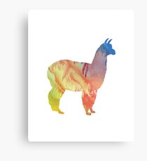 Alpaca Metal Print