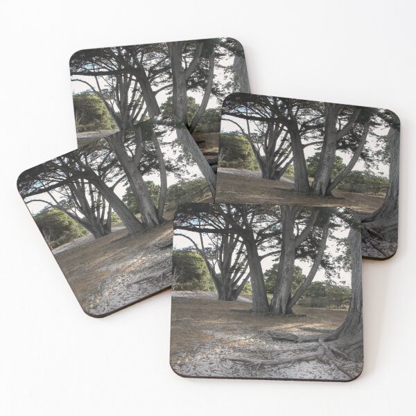 Item preview, Into the Woods designed and sold by heatherfriedman.