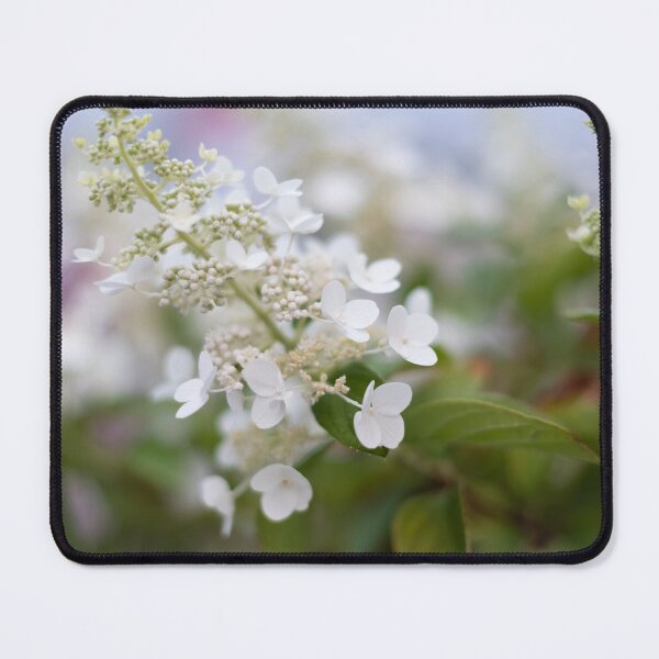 Item preview, White Hydrangea Flowers with Pastel Background designed and sold by Amy Mitchell.