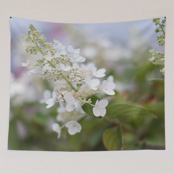 Item preview, White Hydrangea Flowers with Pastel Background designed and sold by Amy Mitchell.