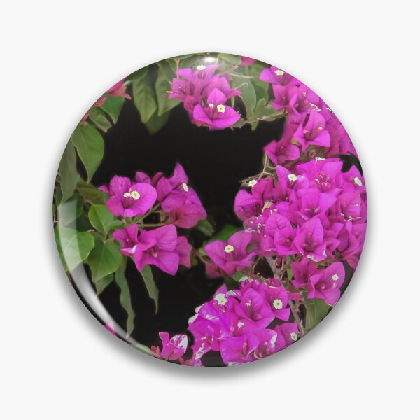 Item preview, Bougainvillea designed and sold by heatherfriedman.