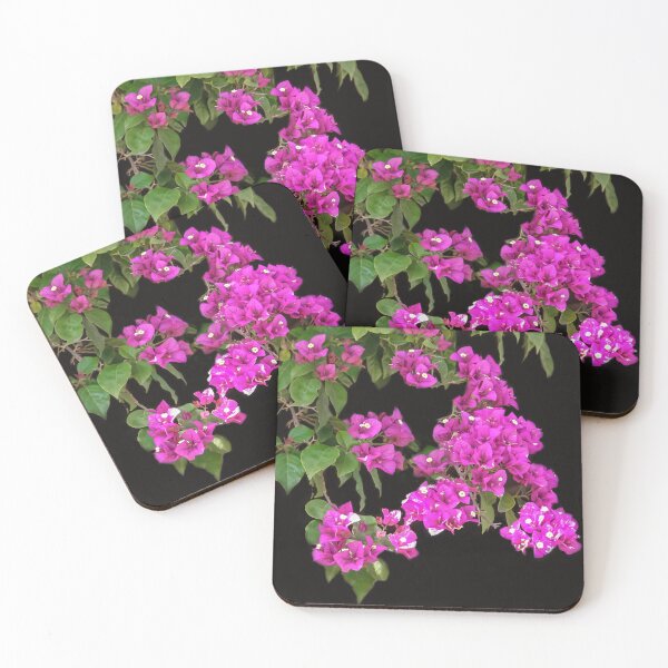 Item preview, Bougainvillea designed and sold by heatherfriedman.