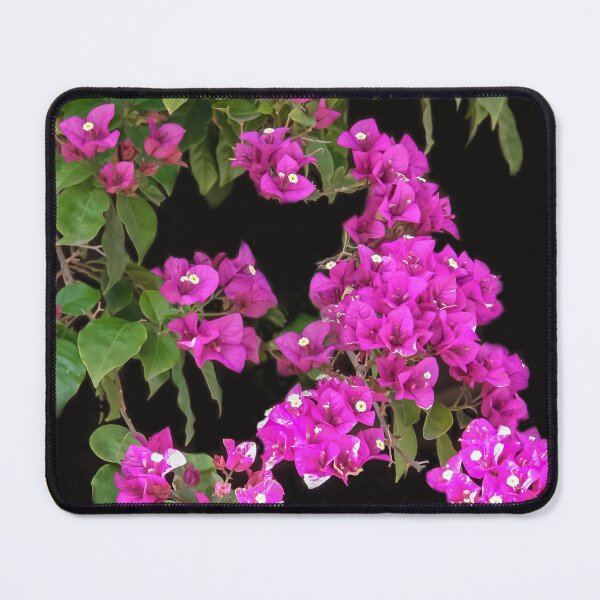 Item preview, Bougainvillea designed and sold by heatherfriedman.