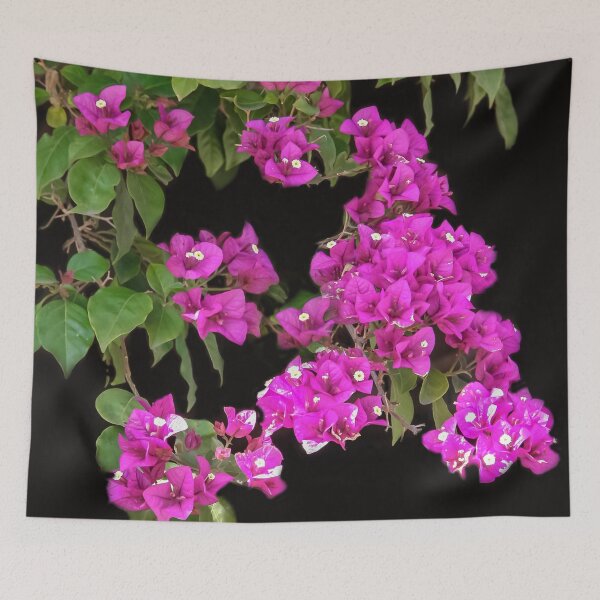 Item preview, Bougainvillea designed and sold by heatherfriedman.