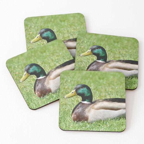 Artikelvorschau, Ente im grünen Gras entworfen und verkauft von joelbakken39.