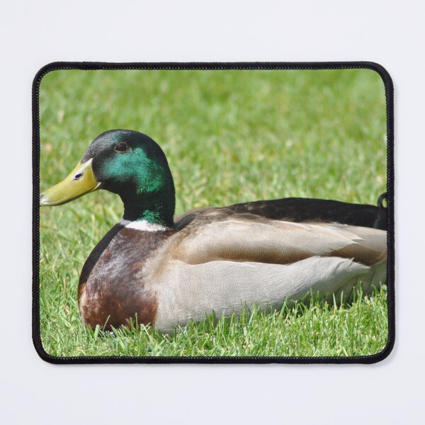 Item preview, Duck in Green Grass designed and sold by joelbakken39.