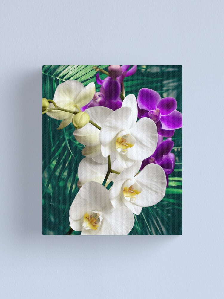 Mercancía de moda Precios asequibles Blanco Morado orquídeas lienzo en  blanco de pared arte imagen Split Multi Panel 100cm Gran centro comercial  en línea 