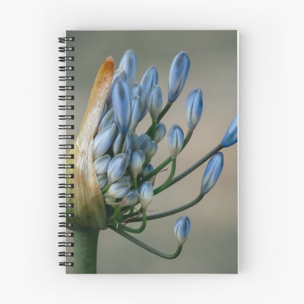 Item preview, Beautiful Blue Budding Flower designed and sold by Taceo10.