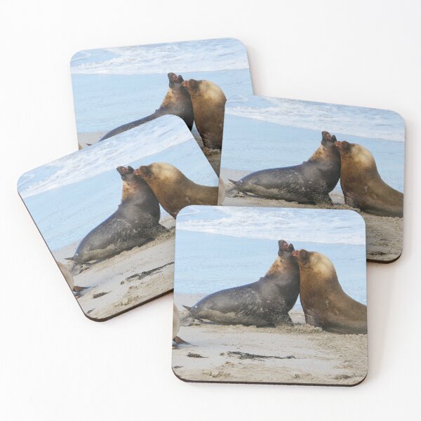 Item preview, Male Sealions, Kangaroo island designed and sold by Steve9.