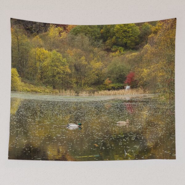 Item preview, Clydach Vale Country Park, Rhondda Valley designed and sold by heidipics.