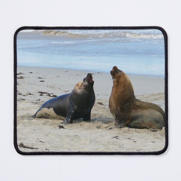 Item preview, Male sealions designed and sold by Steve9.