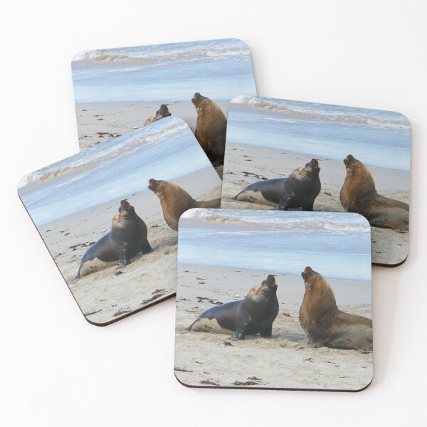 Item preview, Male sealions designed and sold by Steve9.