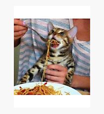 Spaghetti Cat Photographic Print