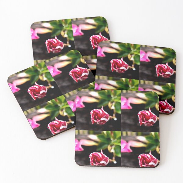 Item preview, Red and White Budding Beach Flower designed and sold by Hexxyl.