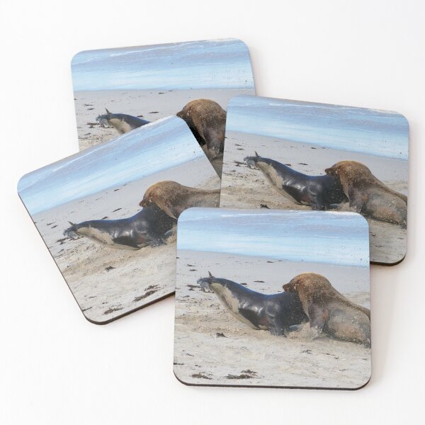 Item preview, Male Sealions Fighting. designed and sold by Steve9.