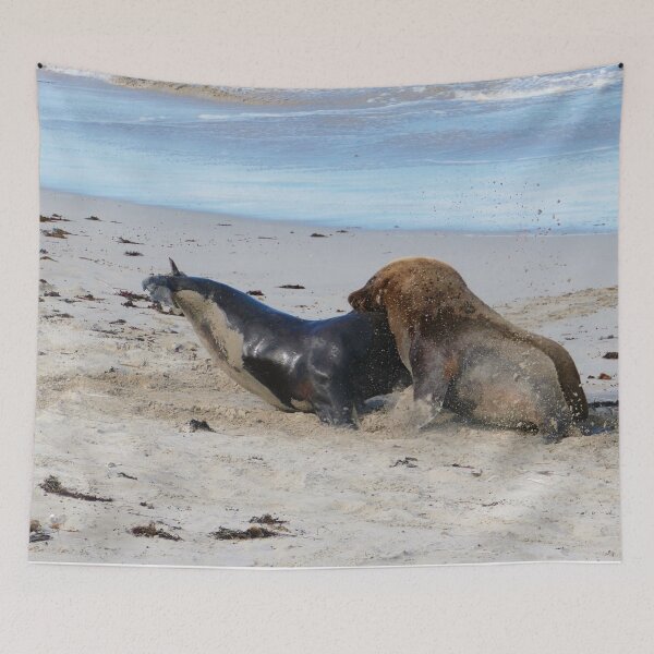 Item preview, Male Sealions Fighting. designed and sold by Steve9.