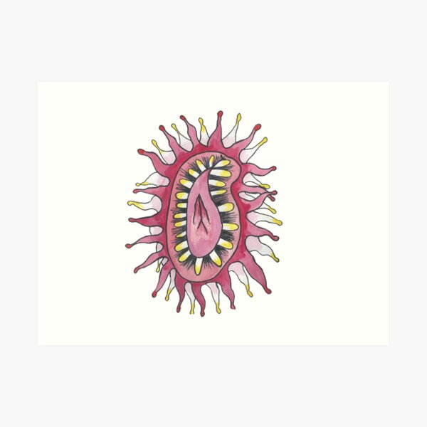 Devonshire Cup Coral (Caryophyllia smithii) Art Print