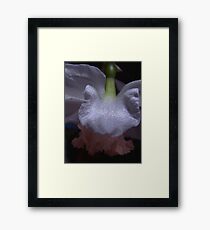 Flower Framed Print