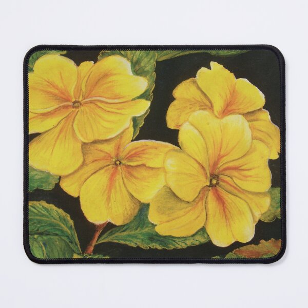 Item preview, Primroses designed and sold by Linda Callaghan.