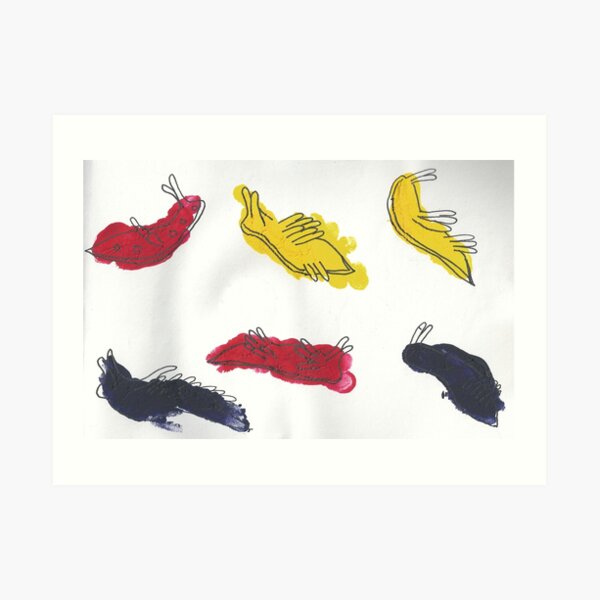 The Nudibranch or Sea Slug Art Print