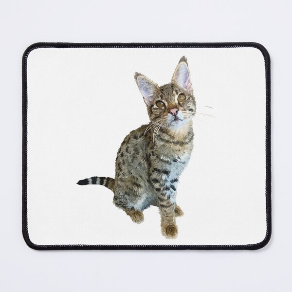 Item preview, Tabby designed and sold by obscurite.